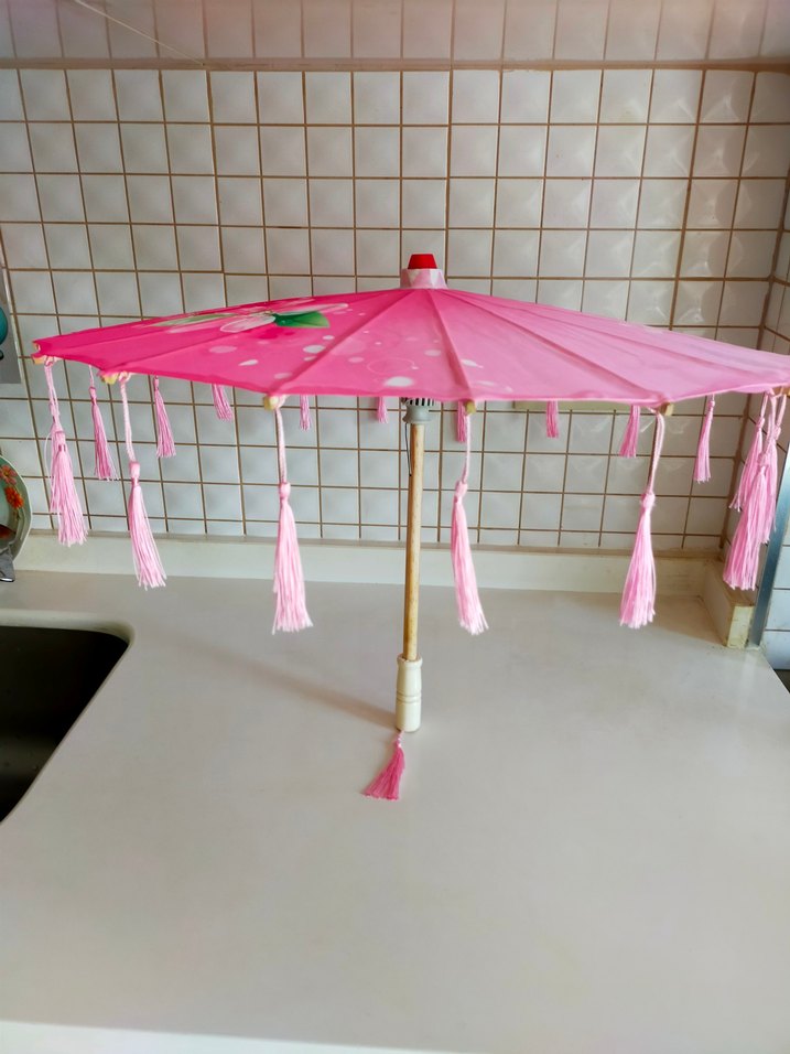 Çin Şemsiyesi - Görsel 5