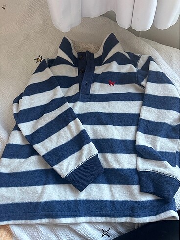 Carters polar