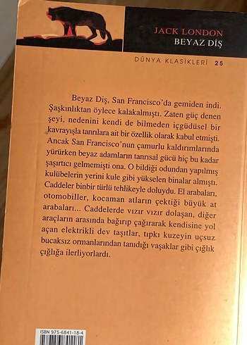 Tanesi 40tl kitap - Görsel 6