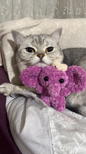 Mor fil amigurumi