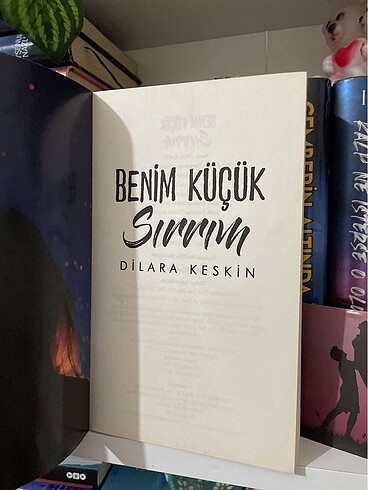  Beden Renk benim küçük sırrım kitap 1