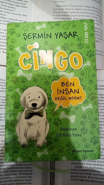 Cingo