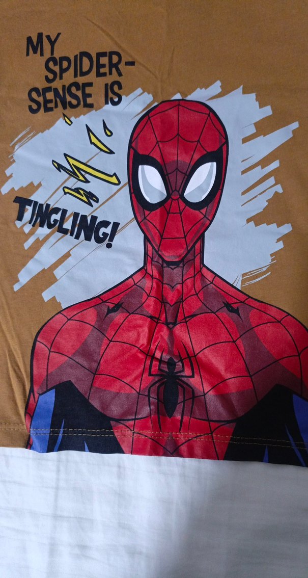 Erkek Çocuk Kahverengi Örümcek Adam Baskılı Tişört - Görsel 3