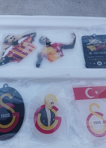 AYNA LOGOSU 