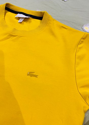 Sarı Erkek Oversize Sweatshirt - Görsel 2