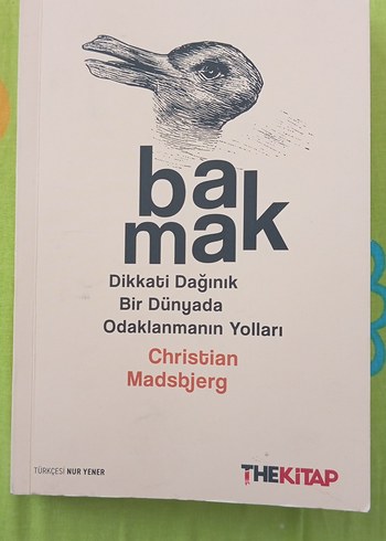 Dikkati Dağınık Bir Dünyada Odaklanmanın Yolları