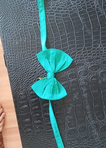 Nakışlı Turkuaz Erkek Papyon - Görsel 2