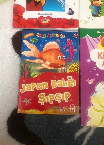 Beden Renk Çocuk Kitapları Seti - 6 Kitap