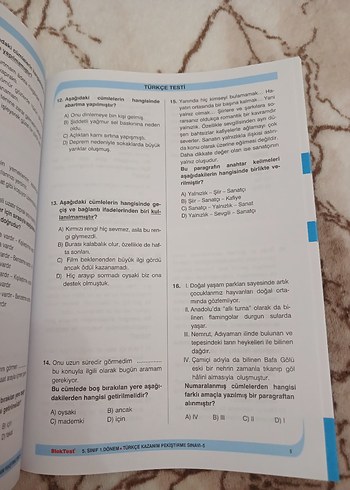 Beden Renk 5. Sınıf Türkçe 10x20 Deneme Seti - BlokTest