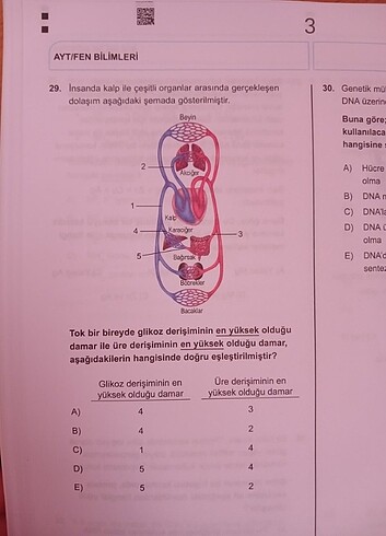 Beden 345 AYT FEN DENEMESİ