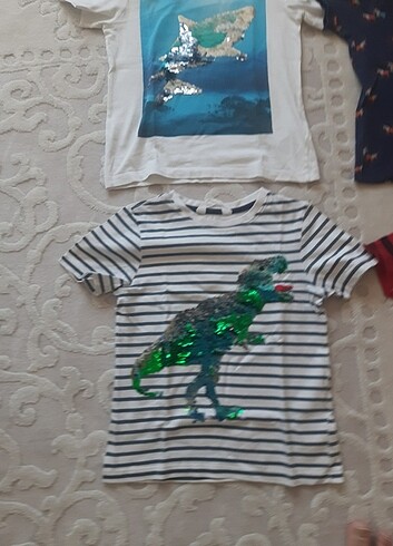 6 Yaş Beden 4 adet tshirt