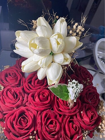Gelin çiçeği ve damat yaka çiçeği