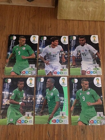  Beden Panini futbolcu kartları
