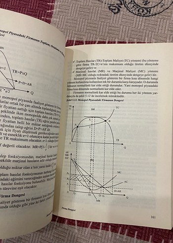 İktisada Giriş Kitabı