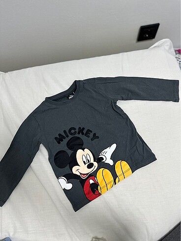 Uzun kollu disney