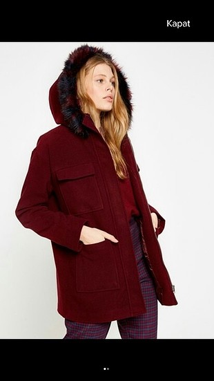 bordo palto