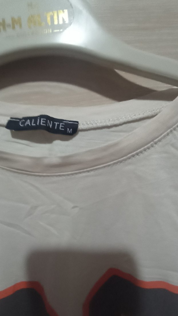 Gri Baskılı Erkek Kısa Kollu Tişört - Görsel 5