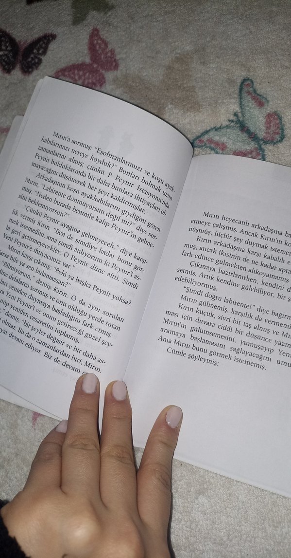 Peynirimi Kim Kaptı? - Dr. Spencer Johnson - Görsel 3