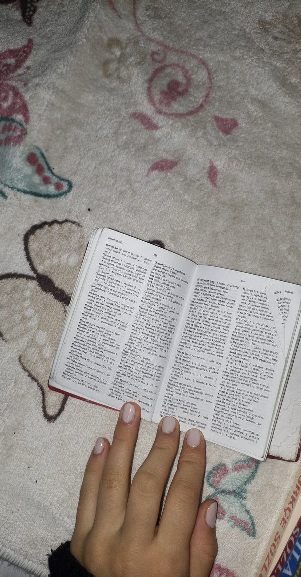 Redhouse İngilizce-Türkçe Mini Sözlük - Görsel 4