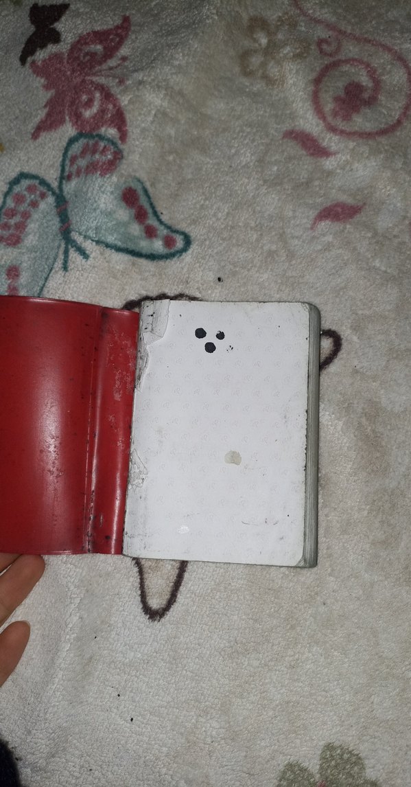 Redhouse İngilizce-Türkçe Mini Sözlük - Görsel 2