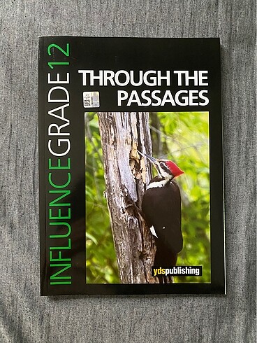YdsPublishing Influence Through the Passage