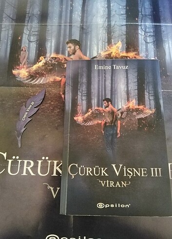 ÇÜRÜK VİŞNE 3 VİRAN | EMİNE TAVUZ 