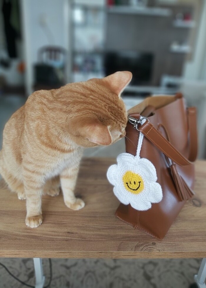 ÖRGÜ PAPATYA MINI ÇANTA/ Aksesuar - Görsel 3