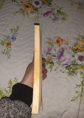 Küçük Prens - Antoine de Saint Exupéry - Görsel 2