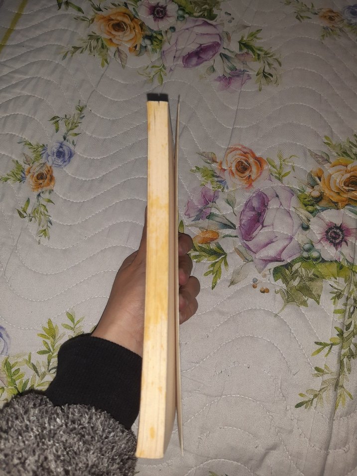 Küçük Prens - Antoine de Saint Exupéry - Görsel 2