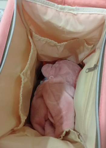 Pembe Bebek Bakım Çantası - Görsel 4