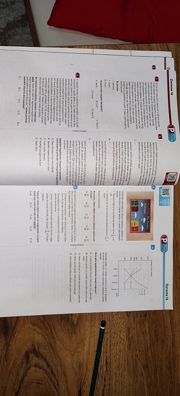 Beden P VİTAMİNİ PARAGRAF PROBLEM