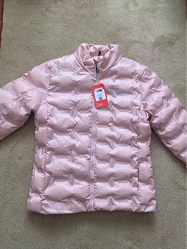 The north face mont