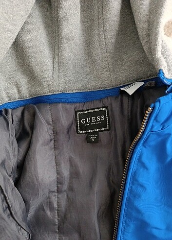 Guess Guess 