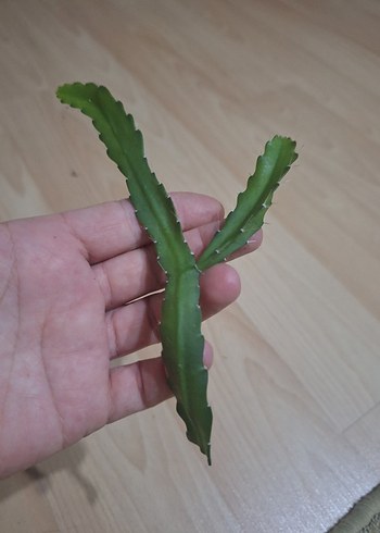 Diğer çelikler satışta