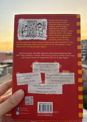 Greg'in Günlüğü Saftirik - Karışık İşler Bunlar - Görsel 2