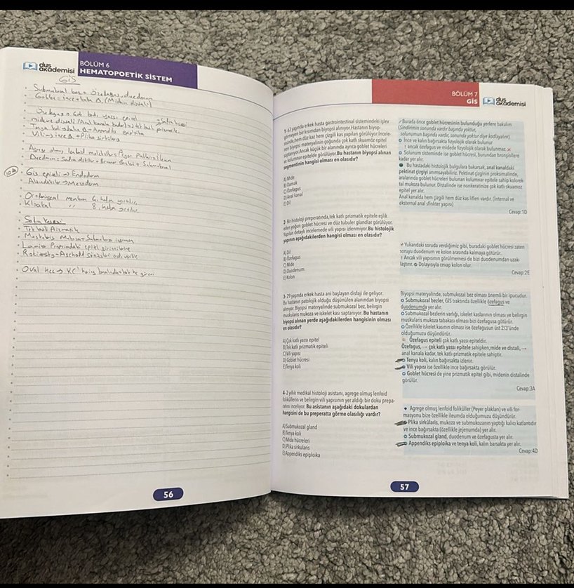 DUSAKADEMİ FİZYOLOJİ Hızlı Tekrar Soru Bankası - Görsel 3