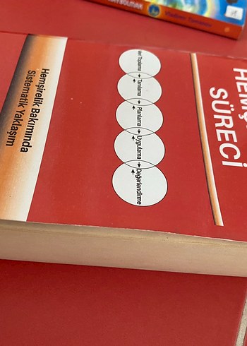 Hemşirelik Süreci - Sistematik Yaklaşım Kitabı - Görsel 2