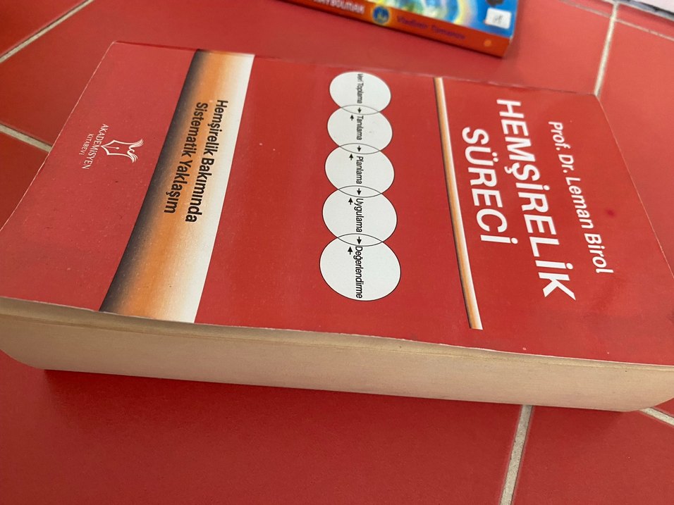 Hemşirelik Süreci - Sistematik Yaklaşım Kitabı - Görsel 2