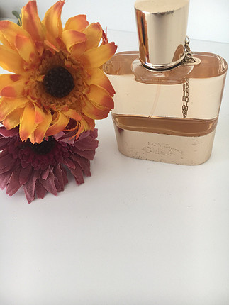 Chloe love