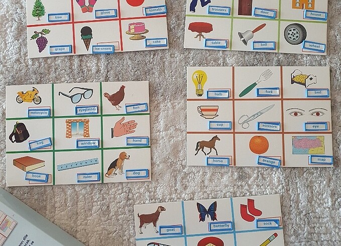 Beden Renk İngilizce öğreten resimli tombala (Rege)