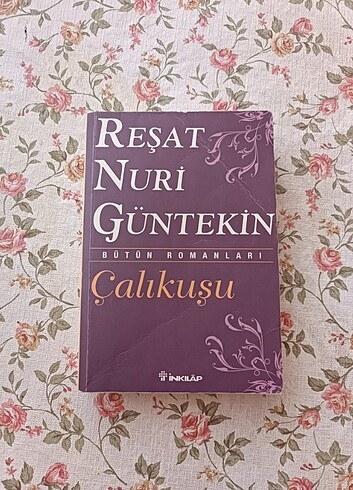 Reşat Nuri Güntekin Çalıkuşu Romanı 