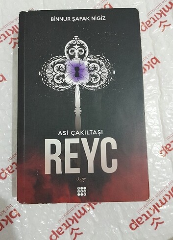 Asi çakıltaşı serisinin reyc kitabı