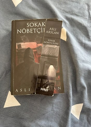 Sokak Nöbetçileri - Aslı Arslan