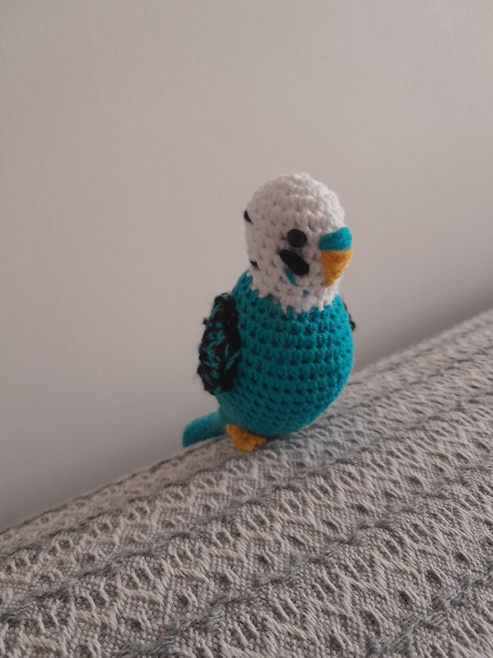 amıgurımi kuş - Görsel 3