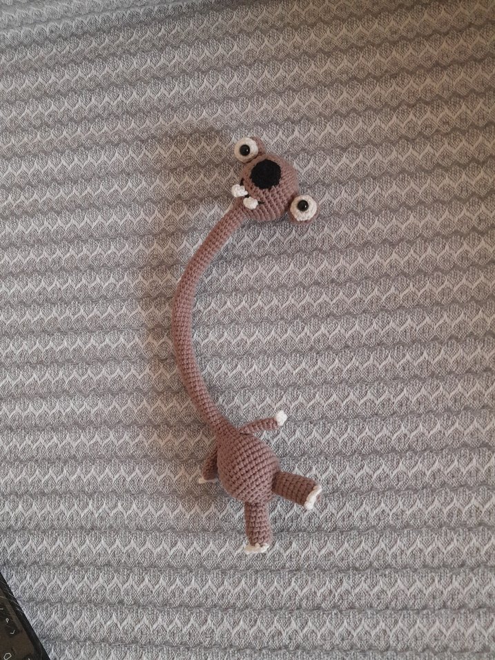 amıgurımi sid - Görsel 2