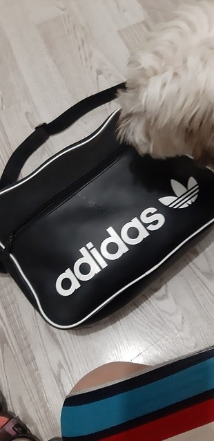 Adidas Adidas canta Orginal