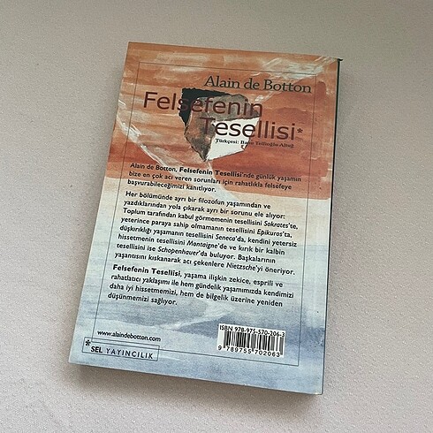  felsefenin tesellisi kitap