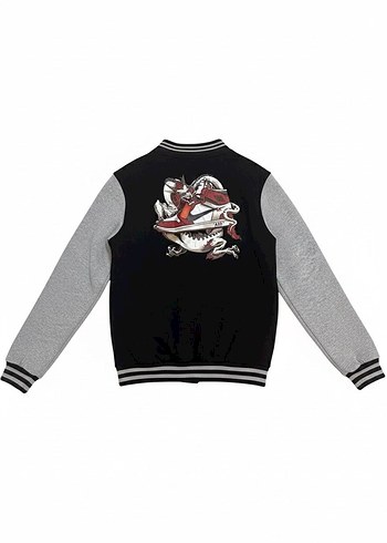 Jordan nakışlı unisex kolej ceket - Görsel 3