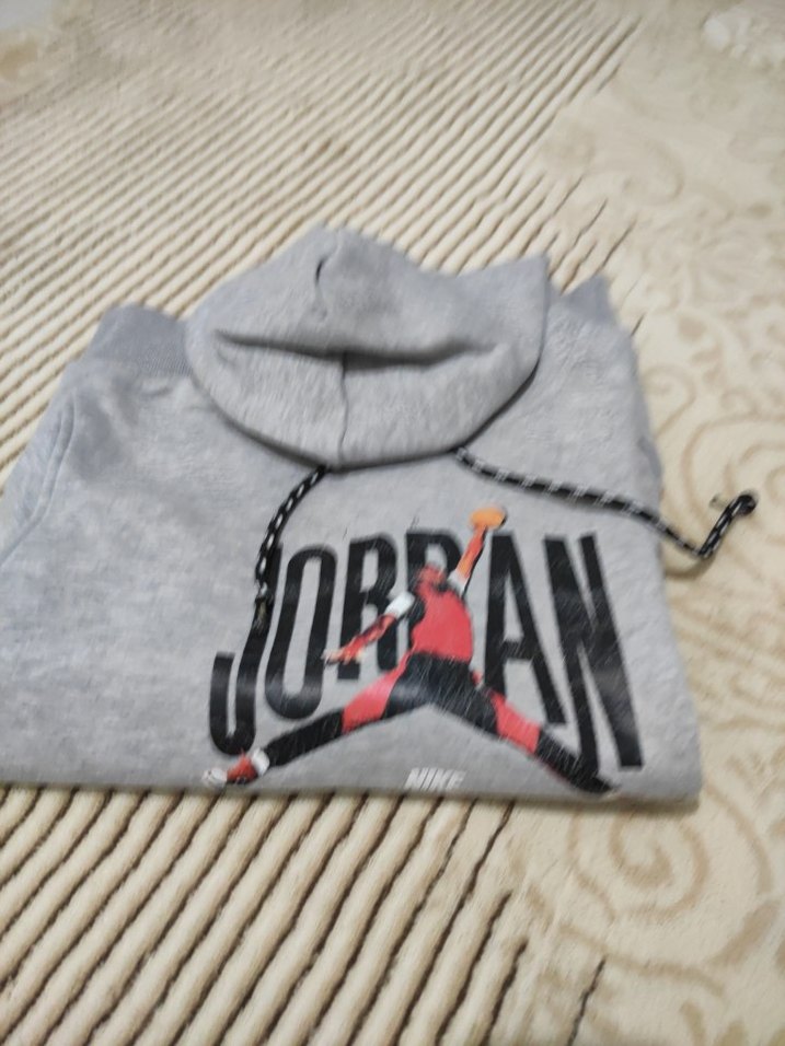 Gri Jordan Baskılı Erkek kapşonlu Sweatshirt - Görsel 3