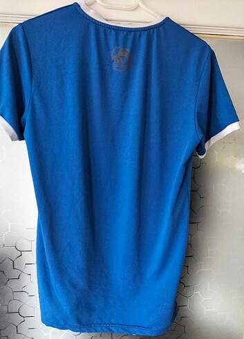 Adidas Erkek tişört 